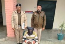 11 केवी लाइन से लगा करंट, खंभे पर ही झुलसी लाश मिली; दूसरा साथी गिरफ्तार Electrocution death