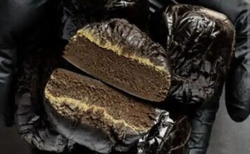 नशा तस्करी पर पुलिस का शिकंजा, महिला आरोपी काबू Rohtak Drug Arrest