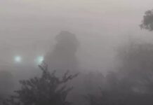 सुबह-समय दृश्य घटने से यातायात प्रभावित, कुछ हिस्सों में ठंडक बरकरार low temperatures