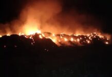 सैकड़ों एकड़ फसल अवशेष जले, दमकल की घंटों मशक्कत Stubble Burning