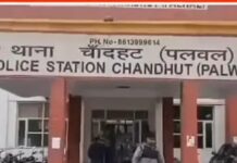 खेतों में जहर छिड़कने का आरोप, जांच रिपोर्ट के बाद मुकदमा दर्ज Palwal wheat crop damage