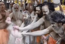 महाशिवरात्रि पर कुरुक्षेत्र में आस्था का सैलाब, आधी रात गूंजे शिव स्तुति के स्वर Mahashivratri