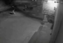 रात के अंधेरे में SUV को फूंक डाला, सीसीटीवी में कैद वारदात Scorpio Burnt