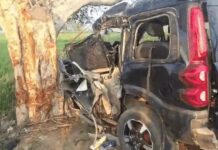 तेज रफ्तार का कहर: पेड़ से टकराई एसयूवी, पांच युवकों की दर्दनाक मौत Gohana accident