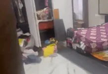 पंचकूला में व्यापारी के घर में चोरों ने लगाई सेंध: कैश-जेवर ले गए, पड़ोसी की छत से सीढ़ी लगाकर तीसरी मंजिल पर की वारदात