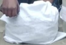 नशा तस्करी पर पुलिस की कार्रवाई, बाहरी राज्य का युवक काबू cannabis seizure