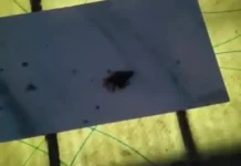 सिरसा में घर की छत पर गिरी आसमानी बिजली, मकान में आई दरारें; पानी की टंकी टूटी, दो कबूतरों की मौत