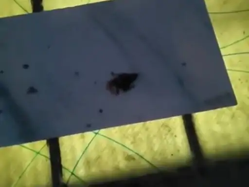 whatsapp-image-2026-02-18-at-115009-am_1771400354