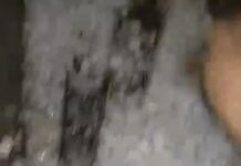 मौसम की मार, ओले और बारिश से फसलें प्रभावित Haryana weather alert