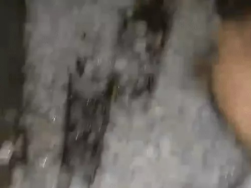 Haryana weather alert