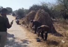 जमानत पर रिहा युवक की गोली मारकर हत्या, जमीन विवाद बना वजह Narnaul Murder Case