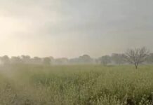 हरियाणा में गर्मी ने समय से पहले दी दस्तक, कई जिलों में हल्की बारिश की संभावना Haryana Weather