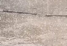 15 जिलों में बारिश, भिवानी-रेवाड़ी में ओलावृष्टि Haryana weather update