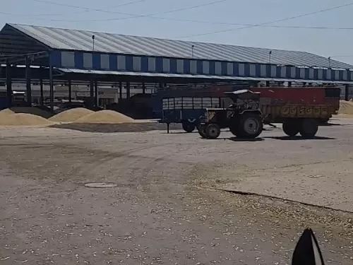 Haryana wheat procurement