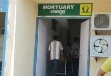 तेज रफ्तार का कहर, सड़क किनारे पेड़ से टकराई बाइक; मजदूर की गई जान road accident