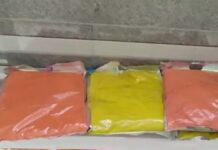 पर्यावरण-अनुकूल रंगों की बढ़ी मांग, बच्चों में थीम्ड पिचकारियों का क्रेज herbal colors