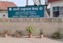 खेती में नवाचार की मिसाल, आधुनिक तरीकों से बदली तस्वीर Karnal agriculture