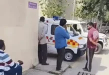 करनाल में दर्दनाक सड़क हादसा: नीलगाय से टकराई बाइक, दो बच्चों के पिता की मौत