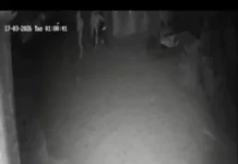 महेंद्रगढ़ में घर में घुसकर महिला से लूटपाट, चाकू की नोक पर जेवर लूटे