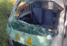 तेज रफ्तार मालवाहक का पेड़ से भीषण टकराव, तीन की जान गई road accident