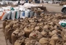 रेवाड़ी मंडी में खरीद प्रक्रिया प्रभावित, एजेंसियों की सुस्ती से किसान परेशान Rewari mandi