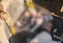 घरेलू विवाद के बाद दर्दनाक कदम woman suicide with daughters