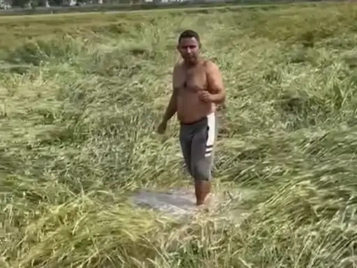 Kaithal minor breach