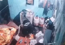 पंचकूला में कबाड़ी की दुकान में चोरी, CCTV में कैद हुआ चोर