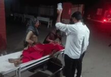 हिसार सड़क हादसे में एक परिवार उजड़ा, चार की जान गई Hisar accident