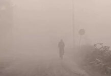 बदला मौसम मिजाज, धुंध की मोटी परत से शहर ढका Faridabad weather