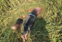 रोहतक में सिर कटी लाश मिलने से सनसनी, आंख गायब—शरीर पर कई गहरे कट के निशान