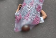 तेज रफ्तार भारी वाहन बना जानलेवा, राहगीर की गई जान Rewari accident