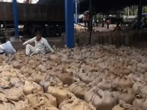 Rewari mustard procurement