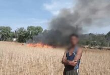 रेवाड़ी में किसान पर टूटा कहर, शादी से पहले जली फसल Rewari fire