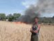 रेवाड़ी में किसान पर टूटा कहर, शादी से पहले जली फसल Rewari fire