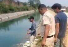 नहर में नहाने गया युवक हादसे का शिकार, नहीं बच सकी जान Hisar drowning