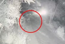 तेज रफ्तार एसयूवी ने छीनी तीन जिंदगियां, सड़क हादसे से दहशत Gurugram accident