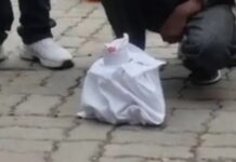 नशा तस्करी पर वार, आरोपी गिरफ्त में Kaithal drug bust