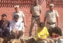 सिरसा में नहर किनारे पेड़ कटाई का खुलासा: 4 आरोपी काबू, नशे की लत के चलते करते थे चोरी