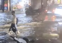 तेज आंधी और बरसात का असर, मौसम विभाग की चेतावनी जारी Haryana weather alert