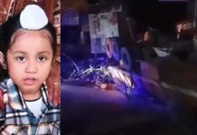 दर्दनाक हादसा, मंदिर पहुंचने से पहले मासूम की जान गई, भारी वाहन चालक भी नहीं बचा Panchkula accident