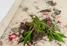 रेलवे स्टेशन पर बवाल, स्टेशन मास्टर पर हमला और तोड़फोड़ Bhiwani railway attack