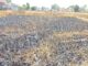 खातला गांव में गेहूं की खड़ी फसल में भीषण आग Wheat Crop Damage