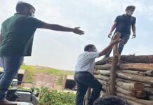 MDU के पूर्व वीसी पर शिकंजा, विजिलेंस जांच के आदेश जारी vigilance inquiry