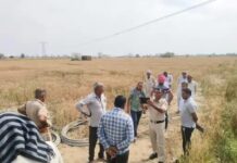 फसल नुकसान पर किसानों का गुस्सा, बिजली विभाग के खिलाफ प्रदर्शन Maham farmers protest