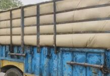 घरौंडा मंडी में बड़ा फर्जीवाड़ा उजागर, बाहरी अनाज को स्थानीय बताकर बेचा Gharaunda mandi