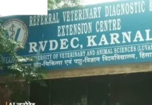 कर्मचारियों के फंड में गड़बड़ी, फर्जी दस्तावेजों से लाखों की हेराफेरी Karnal PF scam