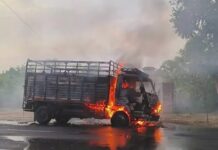 चलते कैंटर में भड़की आग, ड्राइवर ने कूदकर बचाई जान Sirsa fire incident