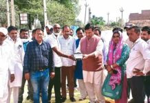 डबवाली में खरीद व्यवस्था मजबूत, किसानों के लिए बड़ी टीम तैनात wheat procurement