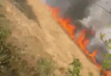 झज्जर के गांवों में आग का कहर, बिजली तारों की चिंगारी से फसल तबाह wheat crop damage